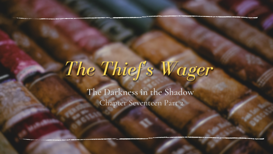 row-old-books-background-text-thief's-wager-chapter-17-part-2-The-Darkness-in-the-shadow